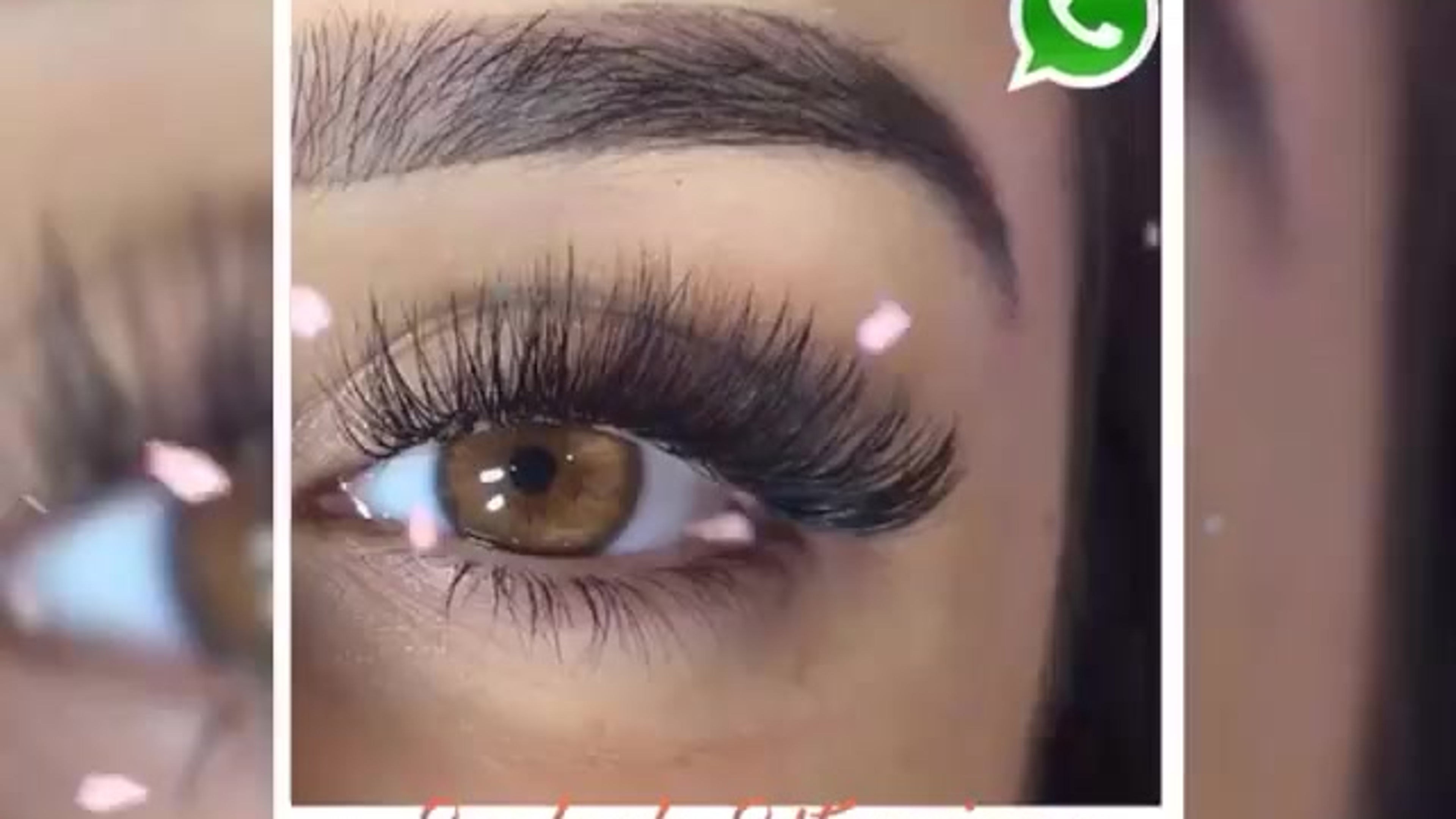 All Videos